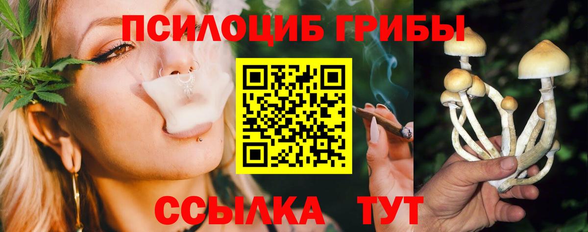 Галлюциногенные грибы мухоморы Донской
